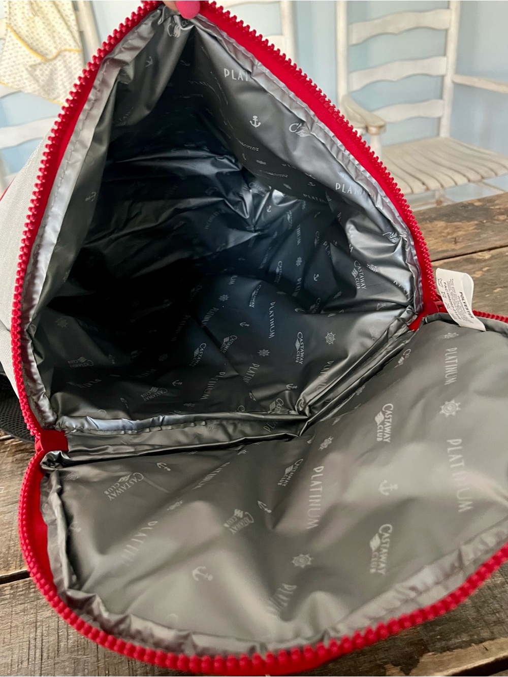 Disney Cruise Line Gray Cooler Pouch with Red Zipper - Picture 7 of 13